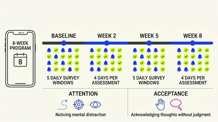 How Researchers Tracked Changes In Daily Life