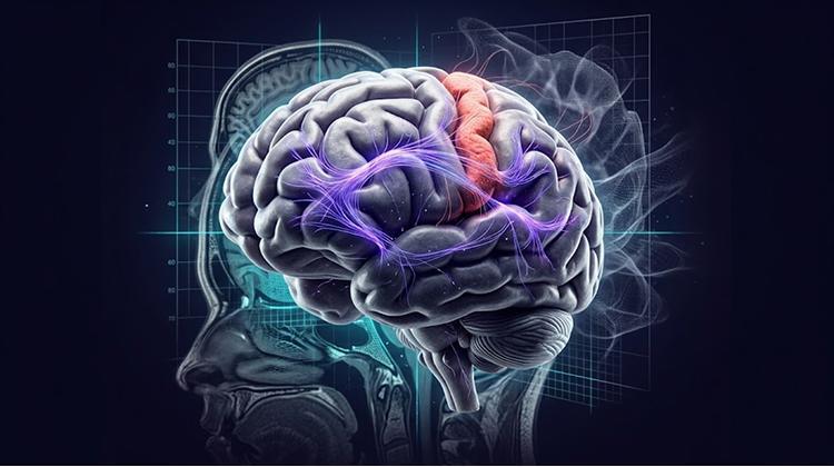 The Default Mode Network Is Often Called The Brain's “Self Network”